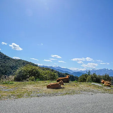 Amazing In With Wifi *