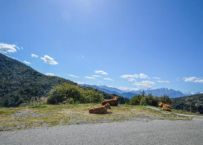 Amazing In With Wifi *